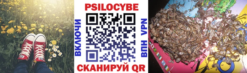 Галлюциногенные грибы прущие грибы Дедовск