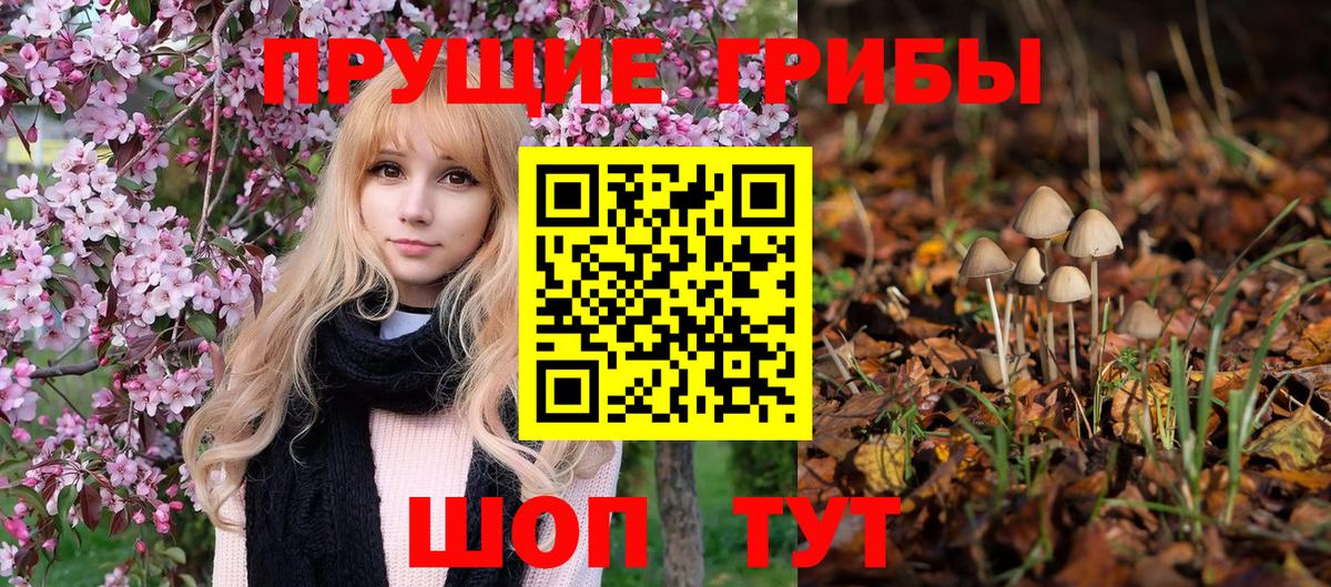 Галлюциногенные грибы мицелий  закладки  Дедовск  Вход с VPN 
