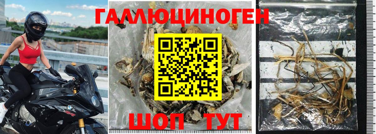 Галлюциногенные грибы мухоморы Дедовск