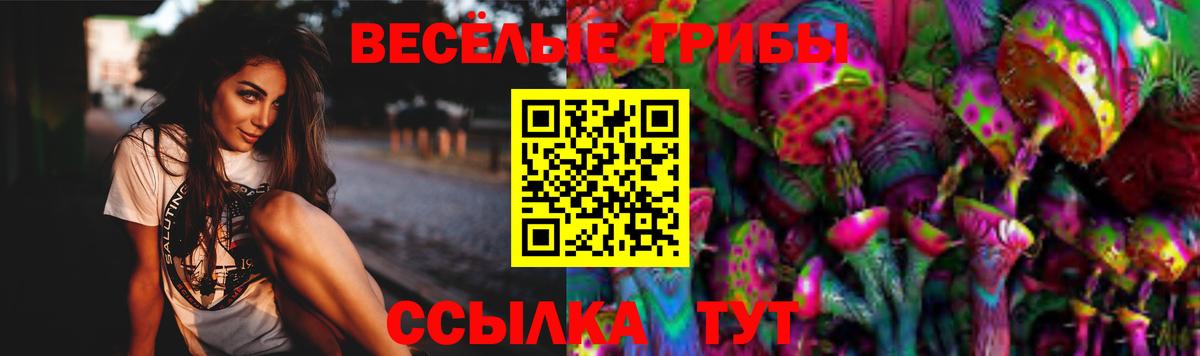 Галлюциногенные грибы Psilocybine cubensis Дедовск